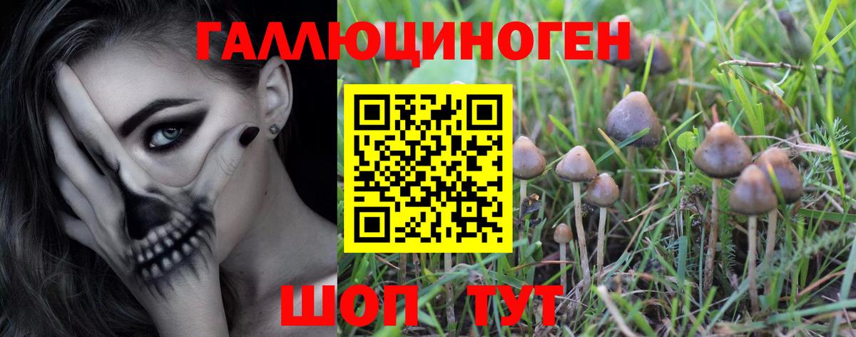 Галлюциногенные грибы мицелий Трёхгорный